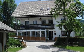 Guest House Znidar